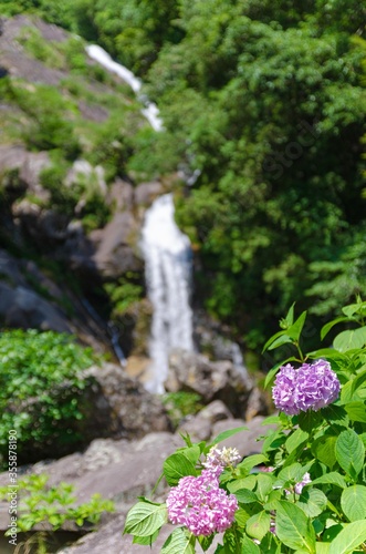 紫陽花と滝と川