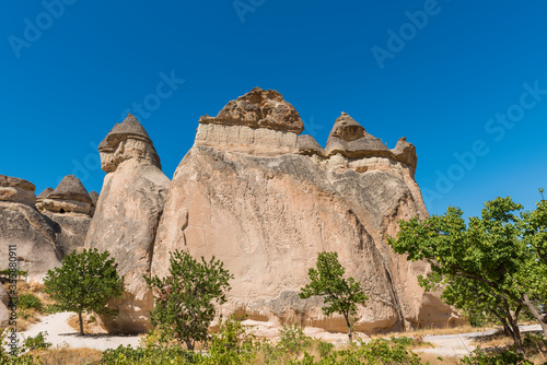 Pasabag Monks Valley with Fairy Chimneys and Mushroom Rock. Known for its mushroom shaped rocks. Cappadocia, Nevsehir, Turkey. 
