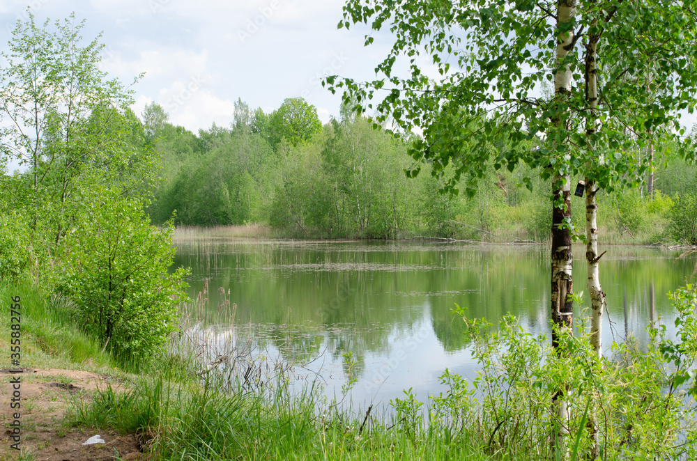 Fototapeta premium lake in the forest