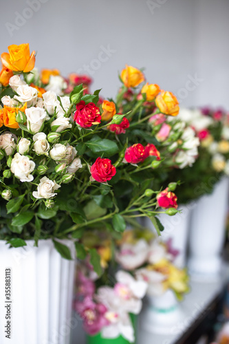 bush bouquet of roses. white, orange and red flowers close-up