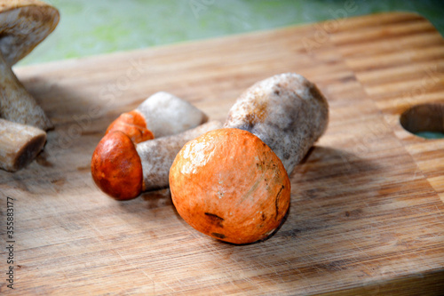 The boletus mushroom is lying on a wooden Board. The background is blurred.