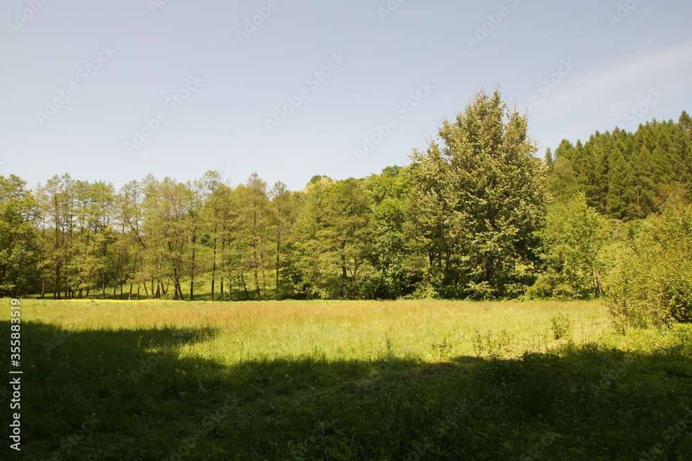 Obraz premium Dolina Kluczywody