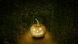Halloween pumpkin in Spooky dark forest at night