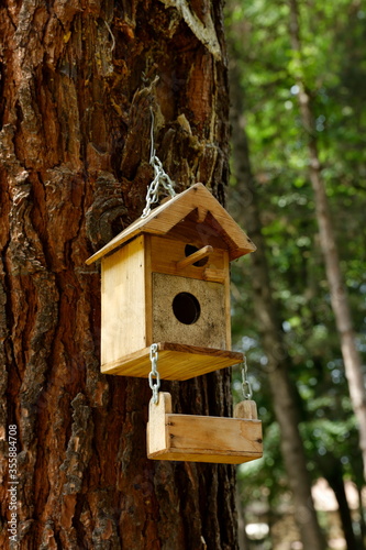 Bird House. Lovely and wooden birdhouse hanging on a tree in a forest.