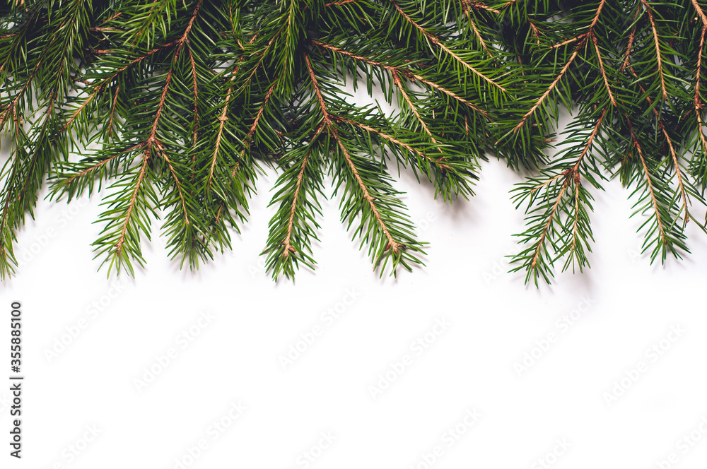 Spruce branches isolated on white background. Christmas template for your design.