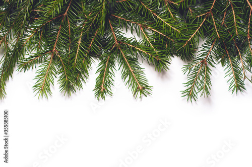Spruce branches isolated on white background. Christmas template for your design.