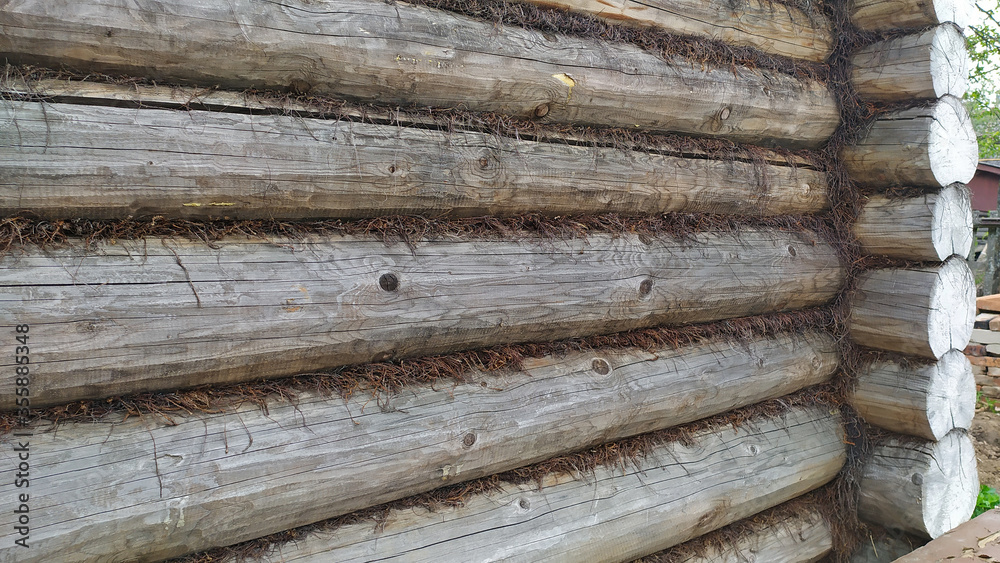 The wall of the house is made of wooden logs, extending into the distance. Tree background and texture. construction of baths and houses. The wall of the house is made of wooden logs, extending into the distance. Tree background and texture. construction of baths and houses.