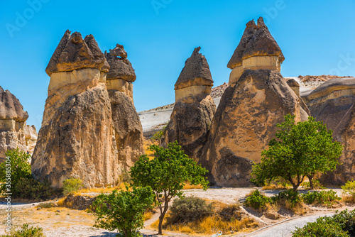 Pasabag Monks Valley with Fairy Chimneys and Mushroom Rock. Known for its mushroom shaped rocks. Cappadocia, Nevsehir, Turkey.
 photo
