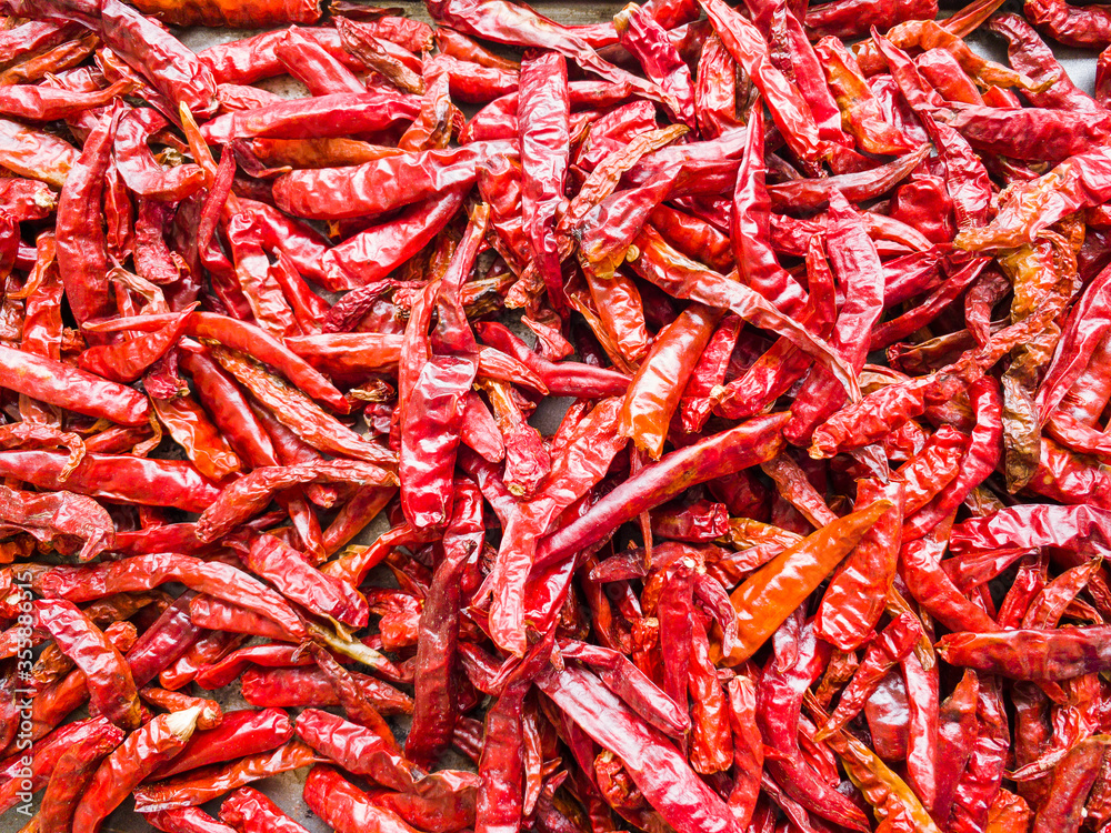 Dried chillies or dried peppers are key ingredient in Asian cooking for add some spiciness to the flavour. Dried chillies or dried peppers are key ingredient in Asian cooking for add some spiciness to the flavour.