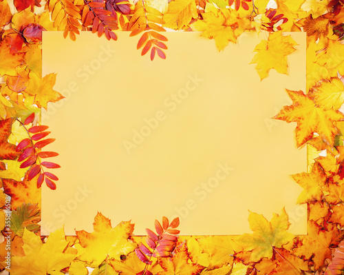 Frame of beautiful fall leaves with yellow empty paper sheet in center. Empty blank for greeting card or invitation. Autumn background  fall concept. Top view  copy space.