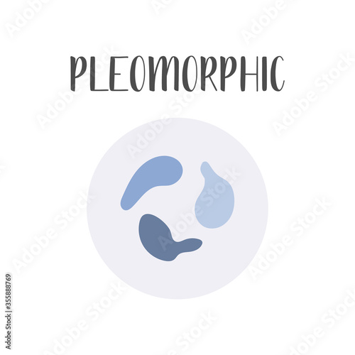 Pleomorphic bacteria. Irregular shapes of bacteria. Types and different forms of bacterial cells, classification. Morphology. Microbiology. Vector flat illustration
