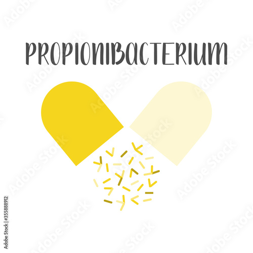 Propionibacterium. Probiotics. Lactic acid bacteria. Good bacteria and microorganisms for gut and intestinal flora health. Vector set