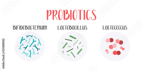 Probiotics. Lactic acid bacteria. Good bacteria and microorganisms for gut and intestinal flora health. Microbiome. Bifidobacterium, lactobacillus,  lactococcus. Vector set