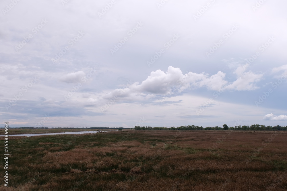 photo of sky and grass field landscape
