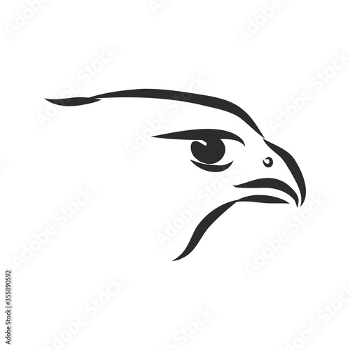 Black and white illustration. Sketch of bird for tattoo art. Detailed hand drawn eagle for tattoo on back. Falcon bird, vector sketch