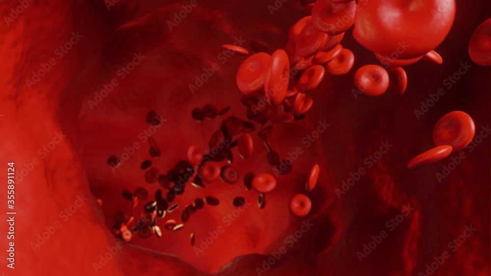 red blood cells flow animation red blood cells flow animation