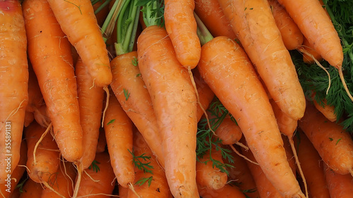 Fresh carrots at the Oranjezicht City Farm Market based in Cape Town. photo