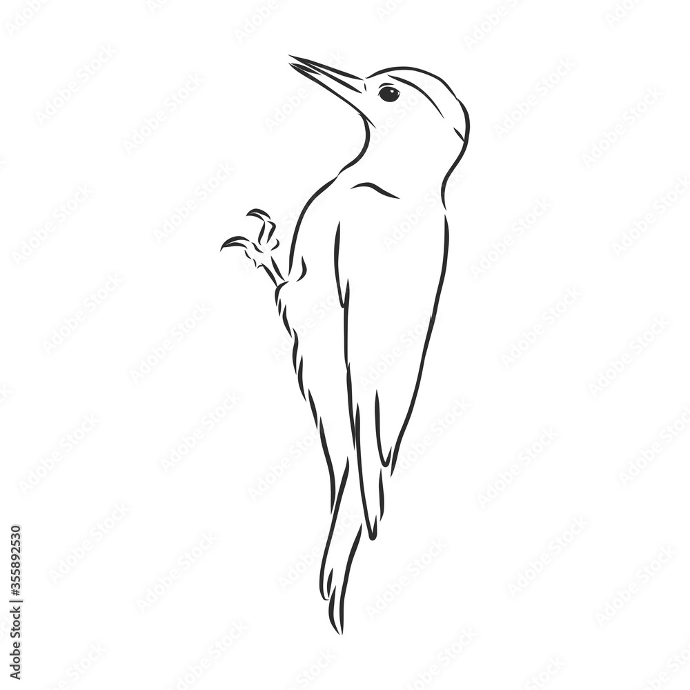 Vetor de Isolated vector illustration. Hand drawn linear ink sketch of