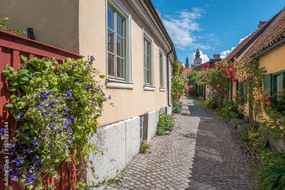 Picturesque medieval alley Fiskargränd is a popular tourist attraction in Visby on Swedens’ largest island Gotland.