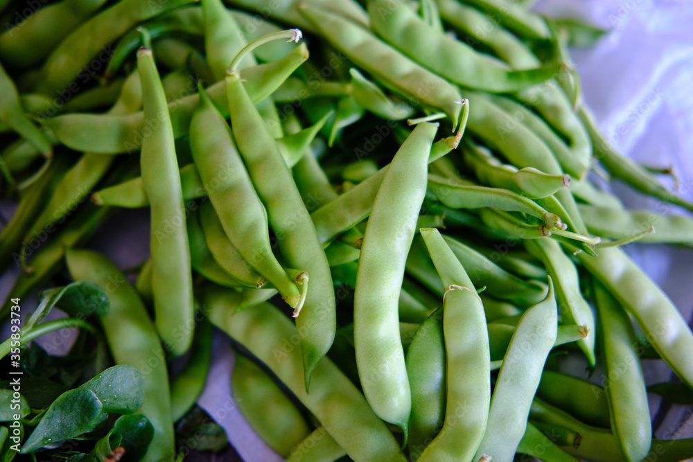 Pile of Green Beans Pile of Green Beans