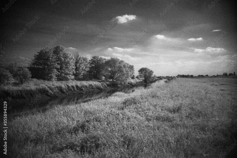 dramatic old style black and white of sky, trees, reeds and river