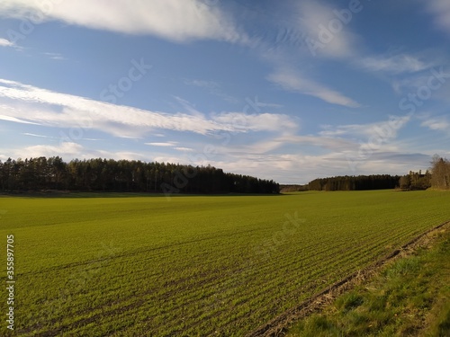 rural landscape with a field