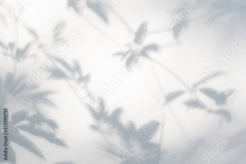 Abstract leaves shadow blurred background. Natural leaves tree branch shadows and sunlight dappled on white concrete wall