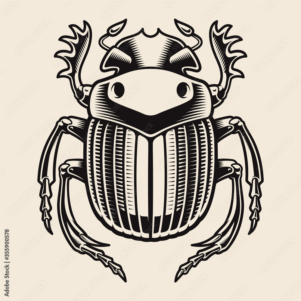 Vector illustration of an Egyptian scarab isolated on white background ...