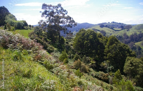 A view across a lush green farming valley on the edge of the Otway National Park, Victoria, Australia. photo