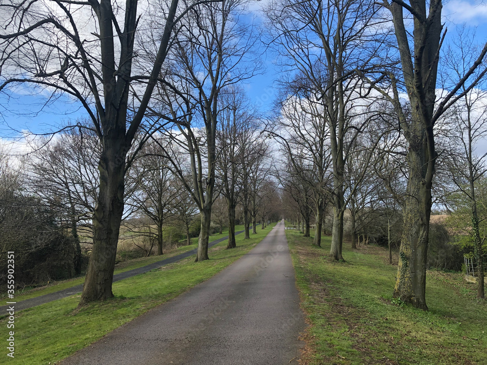 road in the park road in the park