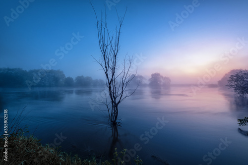 Flood. Protva river after the rains.