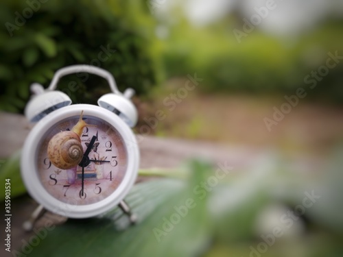 clock in the garden