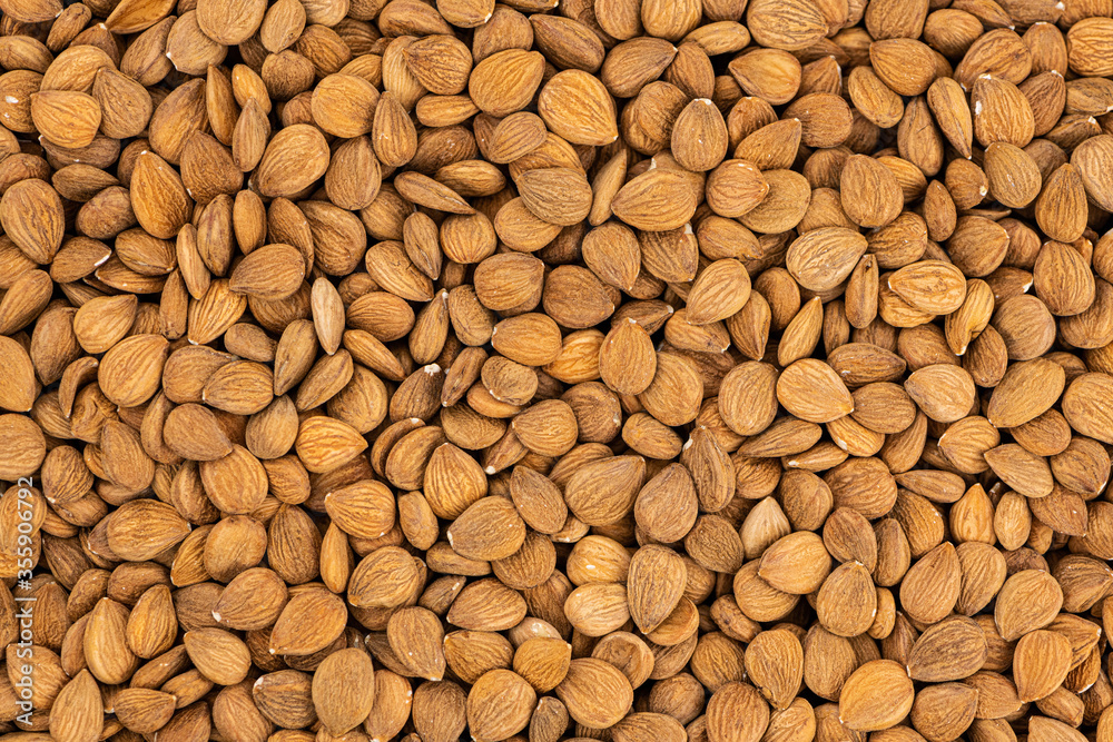 Apricot Kernels for use background or as texture Apricot Kernels for use background or as texture