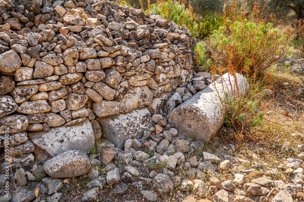 Antique column in a stone fence of an olive grove