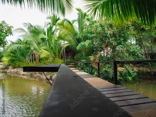 View of the beautiful bridge with green nature around and there are many beautiful trees and flowers in Thailand. photo