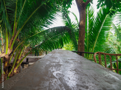 View of the beautiful bridge with green nature around and there are many beautiful trees and flowers in Thailand. photo