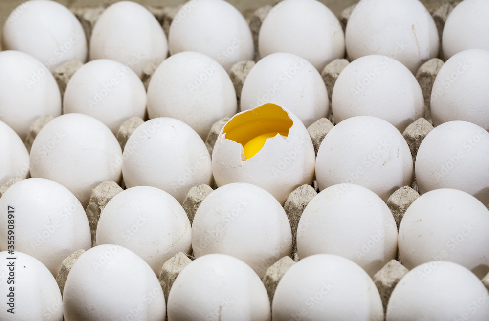 Farm eggs