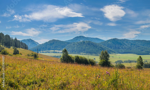 View of a mountain valley. Meadow in the foreground, blue sky with clouds. Summer landscape.