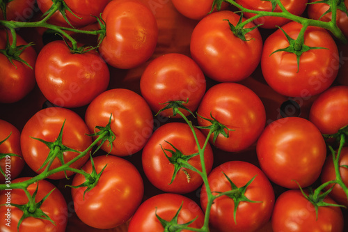 Fresh Organic Farm Tomatoes at food market © kvitkafabian