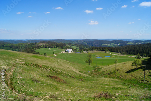 Scenic view over a meadow in the Black Forest, a large, forested mountain range in the state of Baden-Württemberg in southwest Germany. A farmhouse is located in the center.