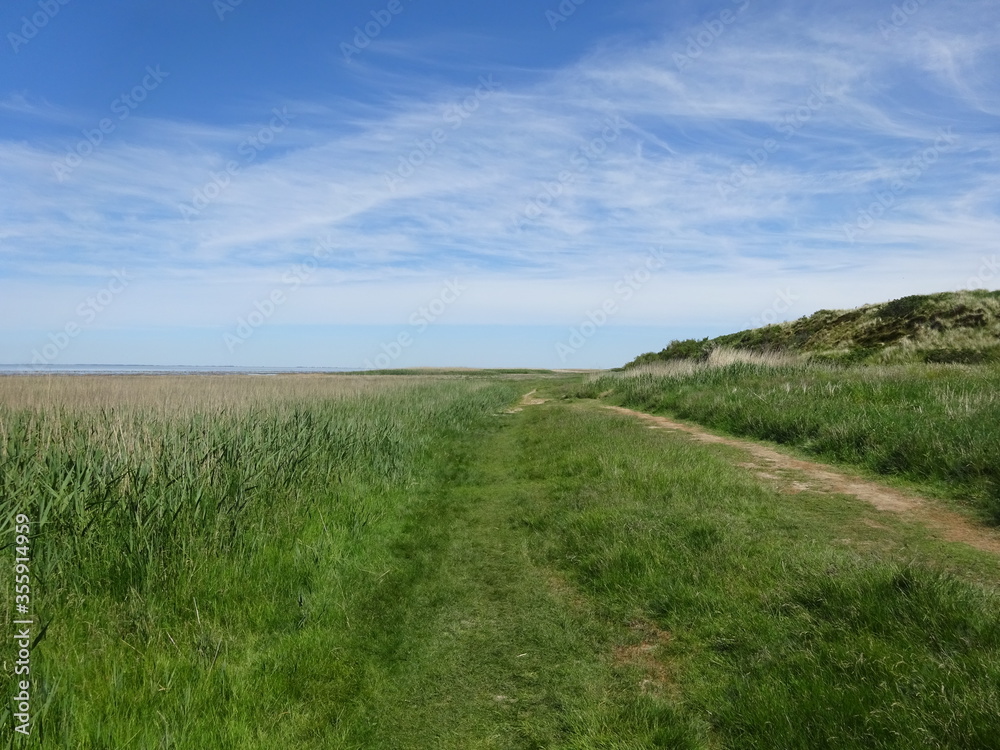 Obraz premium Morsum Kliff im Juni 2020