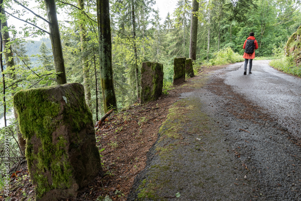 Obraz premium Im Schwarzwald am Kniebis bei Freudenstadt