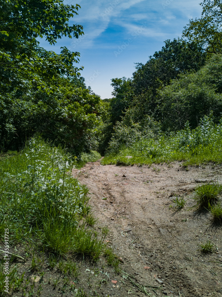 Sandy path crossing at top of the hill in park with trees around Sandy path crossing at top of the hill in park with trees around