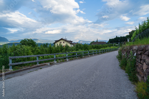 Wallpaper Mural A view of the beautiful Appiano in Italian South Tyrol Torontodigital.ca