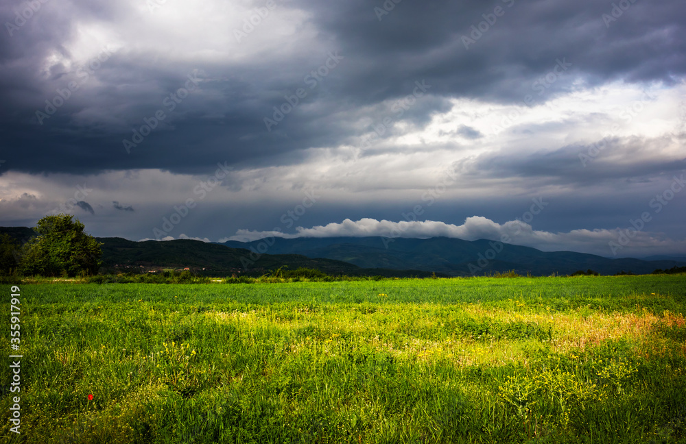 Meadow at the spring with mountains and dark clouds in the background Meadow at the spring with mountains and dark clouds in the background