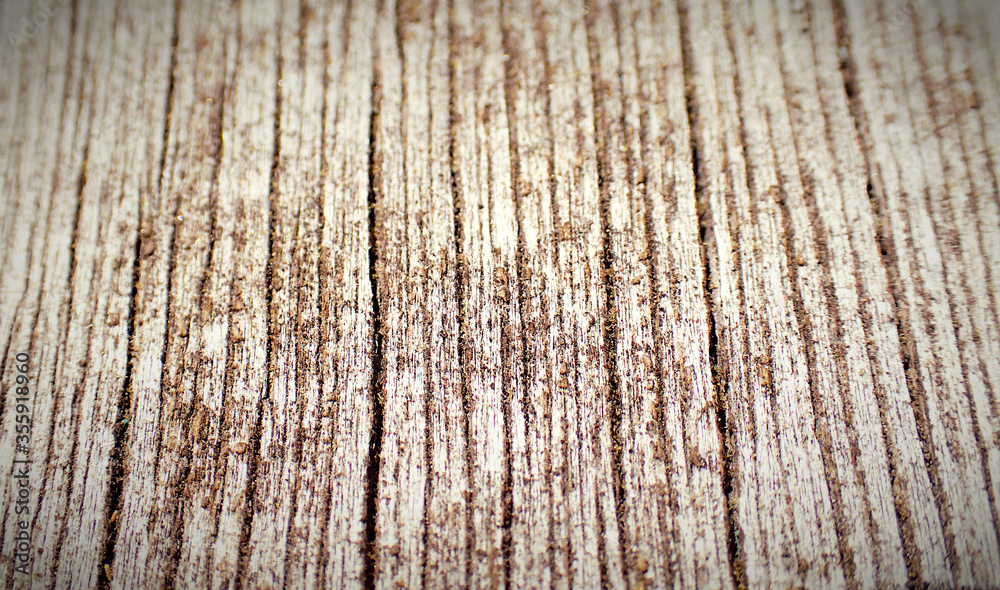 Fototapeta premium Wooden plank