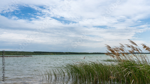 Stormy weather at the St  rmthaler Lake near Leipzig