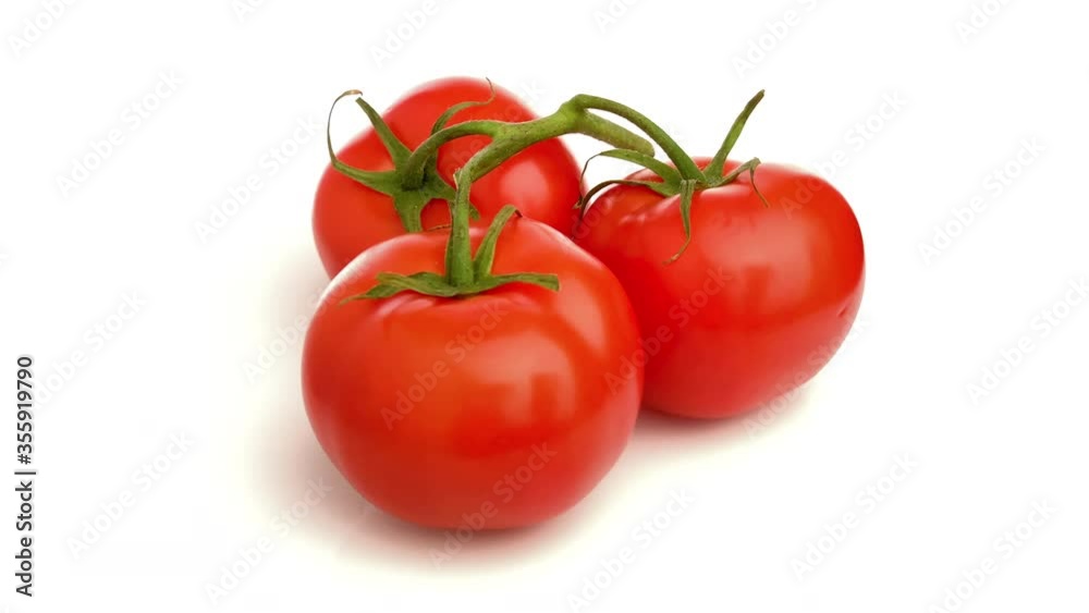 tomato isolated on white background tomato isolated on white background