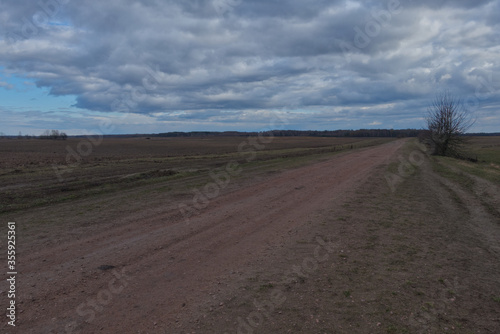 A dirt road among the fields in the evening. Autumn landscape. © Oleksii