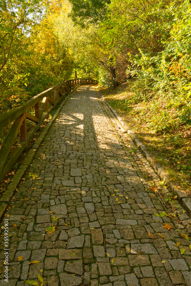 Stone paved path in the autumn forest.